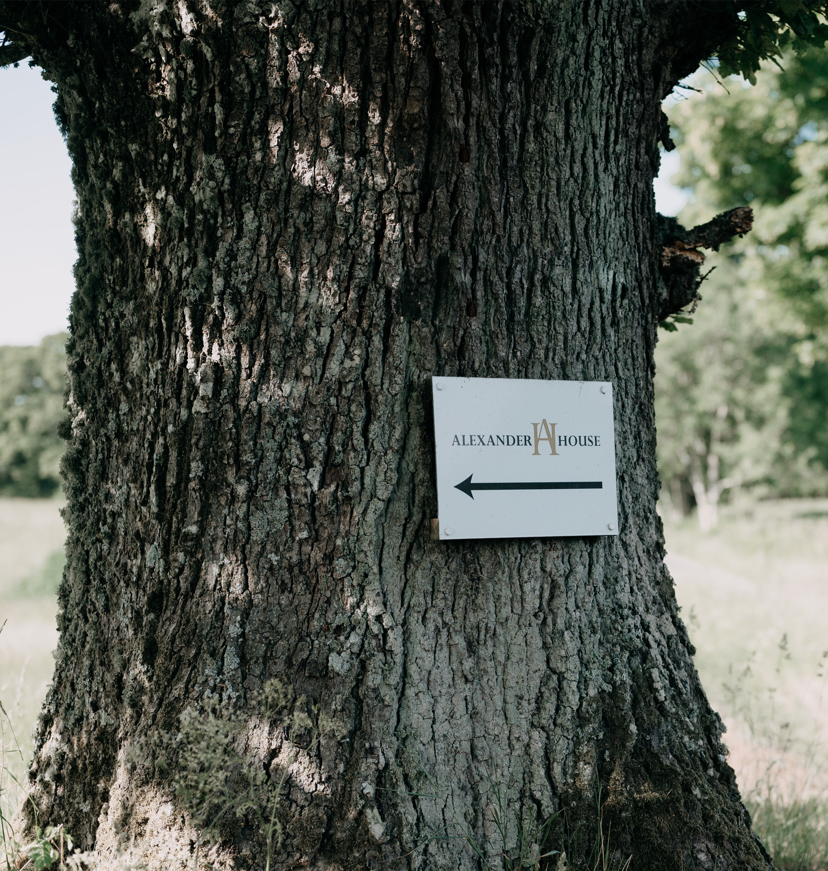 Weddings at Alexander House