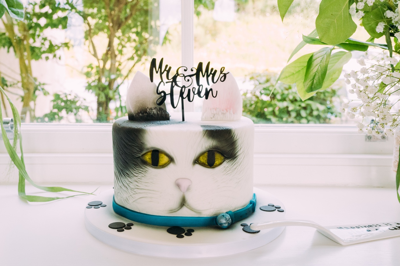 To Cake or Not To Cake?